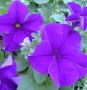 IMG_20260428_154409